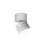 Ansell LED Downlight Reef Matt White 5W 486lm 90D - 830-840-860 CCT | 85mm - IP65 - Adjustable - Outdoor