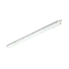 Philips LED Feuchtraumleuchte CoreLine WT120C Gen2 25/43W 3700/6000lm - 840 Kaltweiß | 150cm