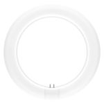 Ledvance Tube LED T9 Value Circulaire (EM/Direct 230V) 11W 1320lm - 840 Blanc Froid | Équivalent 22W