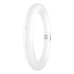Osram Tube LED T9 Circulaire (EM/Direct 230V) 11W 1320lm - 840 Blanc Froid | Équivalent 22W