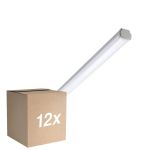 Lot 12x Philips Réglette LED Étanche WT060C 28W 3400lm - 840 Blanc Froid | 150cm