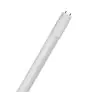 Ledvance Tube LED T8 Superior (EM/Direct 230V) Ultra Output 14W 2600lm - 840 Blanc Froid | 120cm - Équivalent 36W - Plafond Haut