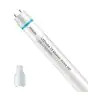 Philips Tube LED T8 MASTER Value (EM/Direct 230V) High Output 8W 1050lm - 865 Lumière Du Jour | 60cm - Équivalent 18W