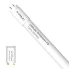 Noxion Tube LED T8 Avant Extreme (EM/Direct 230V) High Output 13W 2100lm - 840 Blanc Froid | 120cm - Équivalent 36W