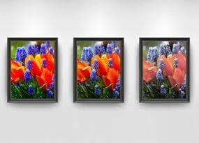What does it mean the colour rendering index?